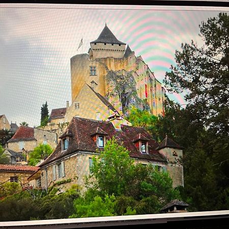 Castelnaud Vue Leilighet Eksteriør bilde